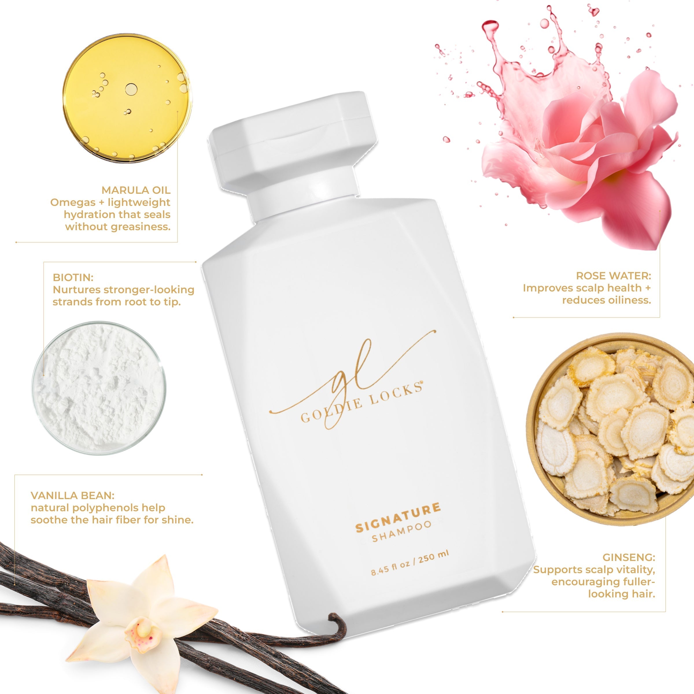 Signature Shampoo · Goldie Locks bij MODI
