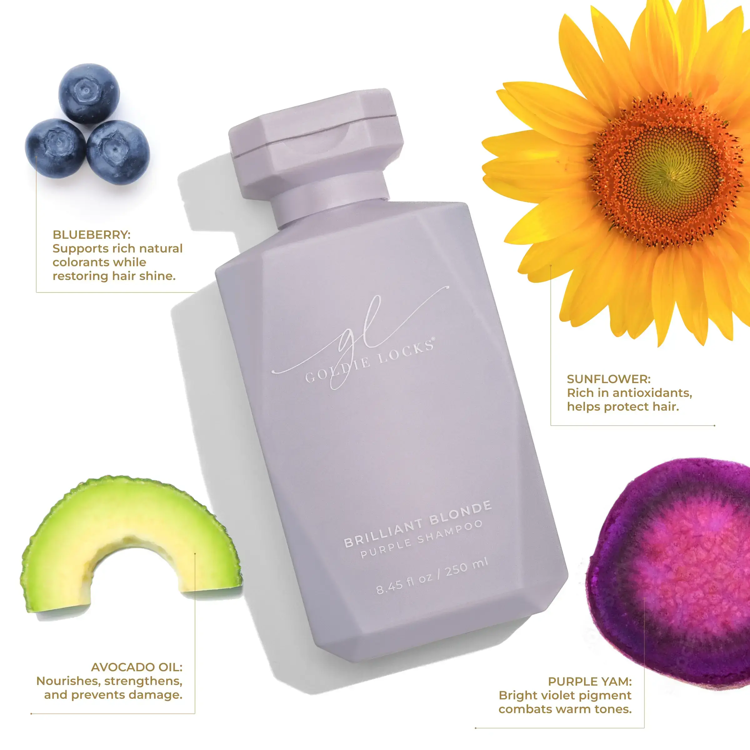 Brilliant Blonde Purple Shampoo · Goldie Locks bij MODI